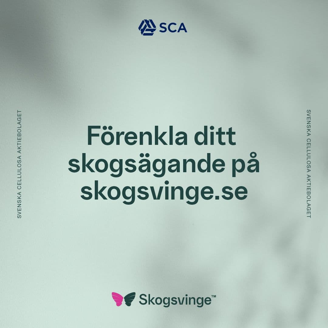 SCA Skogsvinge Förenkla ditt skogsägande